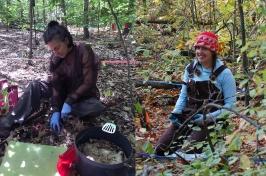 An image of two female scientists working in the field at a study site in the forest